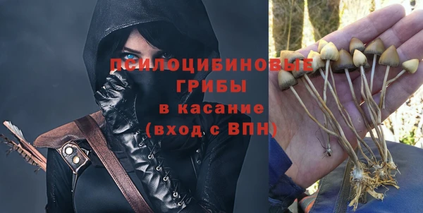 a pvp Горняк