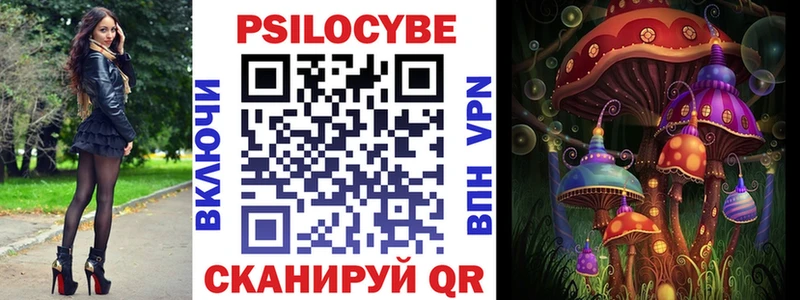 Псилоцибиновые грибы Psilocybine cubensis  Дивногорск 